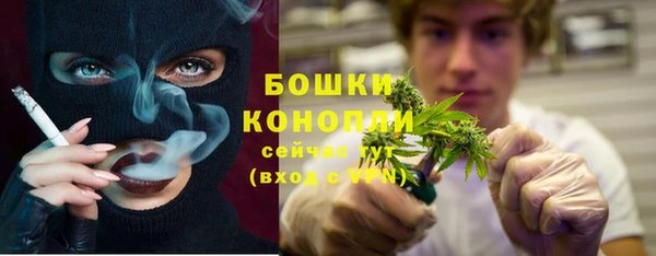 СК Краснослободск