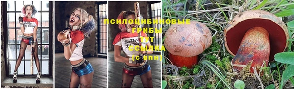 СК Краснослободск