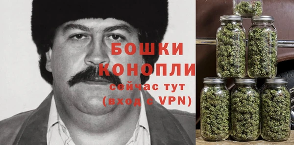 СК Краснослободск