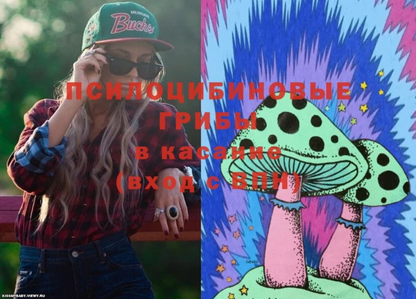 дурь Краснотурьинск